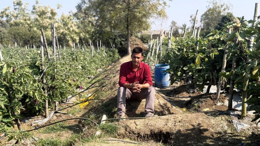 राष्ट्रीय बागवानी मिशन से बदली खेती की तस्वीर...ग्राफ्टेड बागवानी से किसान की आय में तीन गुना वृद्धि