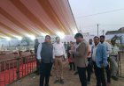 पाली महोत्सव की तैयारी, आयोजन स्थल का कलेक्टर-एसपी ने किया निरीक्षण