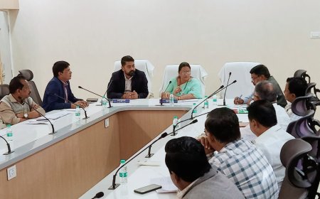 प्रगतिरत विकास कार्य समयसीमा में पूर्ण हों,अप्रारंभ कार्य शीघ्र प्रारंभ कराएं जाएं, यह सुनिश्चित करें - महापौर