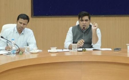 प्रधानमंत्री धन-धान्य कृषि योजना के प्रभावी क्रियान्वयन पर कलेक्टर कुणाल दुदावत ने ली विभागीय अधिकारियों की समीक्षा बैठक