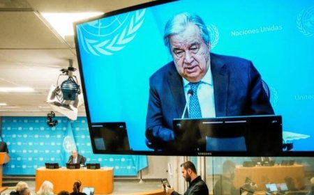 संयुक्त राष्ट्र ने कृत्रिम बुद्धिमत्ता के प्रभाव पर 40 सदस्यीय वैज्ञानिक पैनल को मंजूरी दी