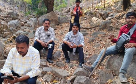 40 हाथियों के बीच रिपोर्टिंग करने पहुंचे पत्रकारों फंसे...कटघोरा में दहशत की रात...मौके पर नहीं था वन अमला