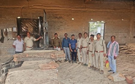 सक्ती वन परिक्षेत्र एवं उड़नदस्ता की संयुक्त कार्रवाई...जैजैपुर क्षेत्र के दो आरा मिल सीलबंद