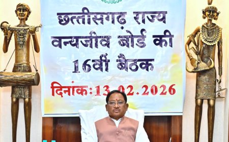 वन्यजीवों के प्राकृतिक आवास की सुरक्षा और सह-अस्तित्व के सिद्धांतों के अनुरूप हो सभी गतिविधियों का संचालन : मुख्यमंत्री  साय