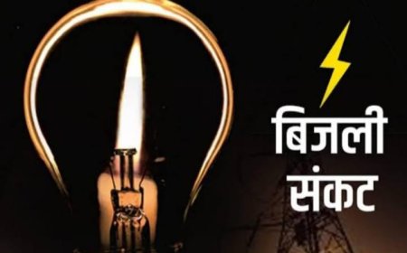 पाली : विद्युत विभाग की मनमानी, सुबह से बिजली गुल, पीने के पानी को तरसे नगरवासी