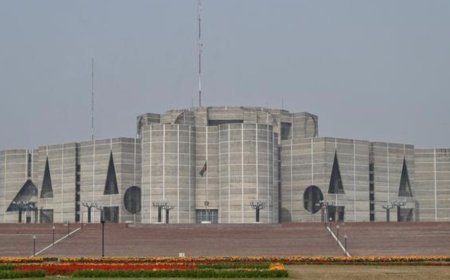 बीएनपी सदस्यों ने सांसद के रूप में शपथ ली; पार्टी का कहना है कि वे मौजूदा संविधान में बदलाव के लिए शपथ नहीं लेंगे।