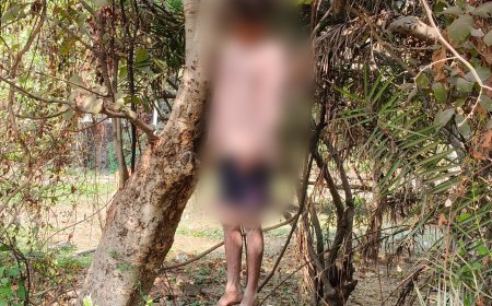 सेरसा ग्राउंड में एक अज्ञात युवक द्वारा पेड़ से लटककर आत्महत्या करने का मामला सामने आया है