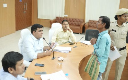 कलेक्टर कुणाल दुदावत ने जनदर्शन में सुनी आमजन की समस्याएं, त्वरित निराकरण के दिए निर्देश