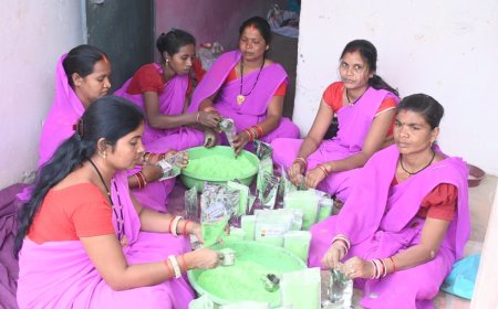 इस बार प्राकृतिक रंगों से रंगीन होगी होली : स्व सहायता समूह की महिलाएं कर रही है प्राकृतिक गुलाल का निर्माण