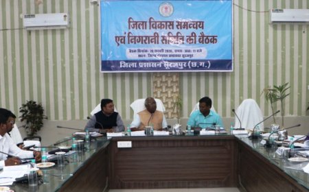 दिशा समिति की बैठक में विकास योजनाओं की गहन समीक्षा...जैविक खेती पर जोर