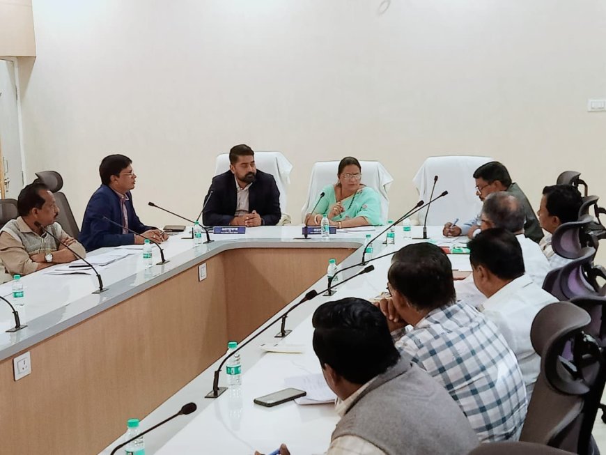 प्रगतिरत विकास कार्य समयसीमा में पूर्ण हों,अप्रारंभ कार्य शीघ्र प्रारंभ कराएं जाएं, यह सुनिश्चित करें - महापौर