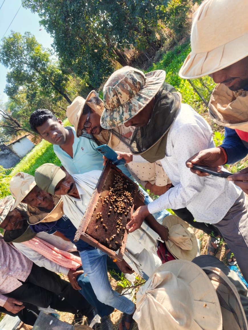 मधुमक्खी पालन से खुला किसानों के आर्थिक समृद्धि का द्वार