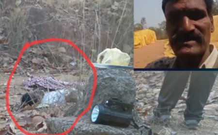 कोरबा में जंगली हाथी का हमला: मंडी प्रभारी राजेश कुमार सिंह की मौत, इलाके में दहशत