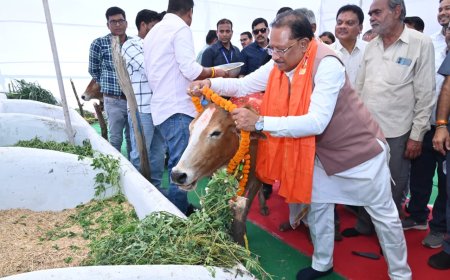 लाखासार से गौधाम योजना की शुरुआत, मुख्यमंत्री विष्णु देव साय ने किया शुभारंभ