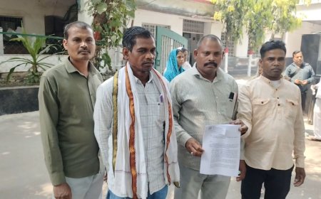 ग्राम पंचायत ऊनी में भ्रष्टाचार के आरोप, सरपंच के खिलाफ जनदर्शन में शिकायत