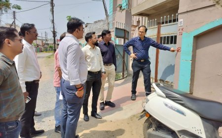 कलेक्टर ने जनगणना की तैयारियों का लिया जायजा...प्रथम चरण में 1 मई से शुरू होगी मकानों की गणना