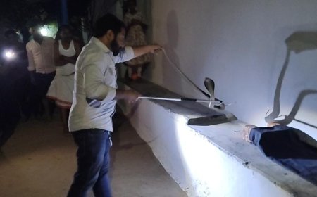 जहरीले नाग के फनकार की आवाज़ सुनकर कुत्ते डर से भौंकने लगे, वही जितेंद्र सारथी को रेस्क्यु करते देख लोग डर से कांप उठे...