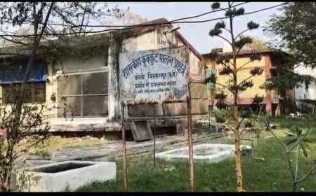 बिलासपुर में बर्ड फ्लू अलर्ट: कई वार्डों को इन्फेक्टेड व सर्विलांस जोन घोषित...बर्ड फ्लू की पुष्टि के बाद प्रशासन सतर्क, 10 किमी क्षेत्र में निगरानी बढ़ी...इन्फेक्टेड जोन में पोल्ट्री गतिविधियों पर पूर्ण प्रतिबंध, उल्लंघन पर होगी कार्रवाई...बिलासपुर में H5N1 की दस्तक: सुरक्षा के लिए कड़े कदम लागू