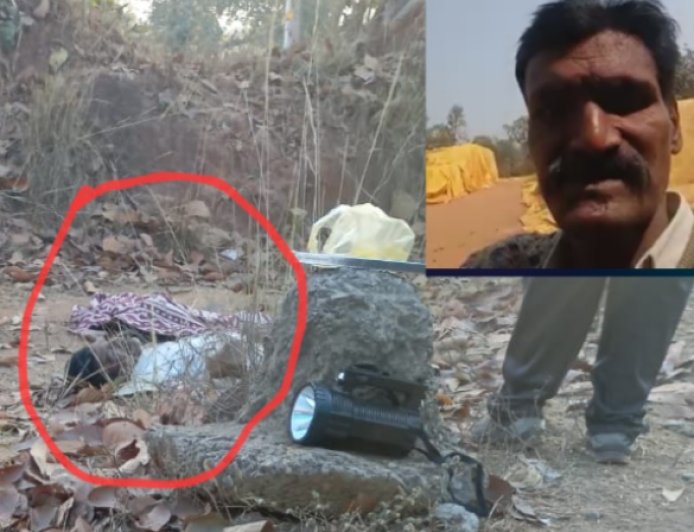 कोरबा में जंगली हाथी का हमला: मंडी प्रभारी राजेश कुमार सिंह की मौत, इलाके में दहशत