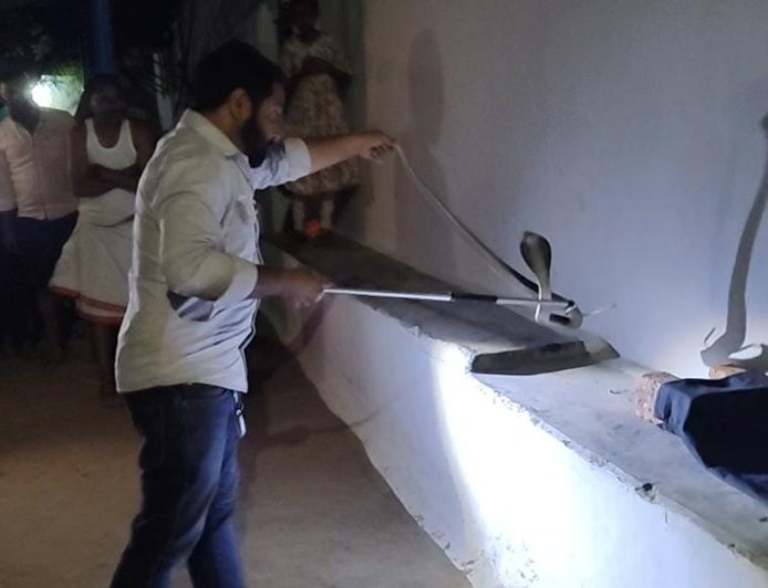 जहरीले नाग के फनकार की आवाज़ सुनकर कुत्ते डर से भौंकने लगे, वही जितेंद्र सारथी को रेस्क्यु करते देख लोग डर से कांप उठे...