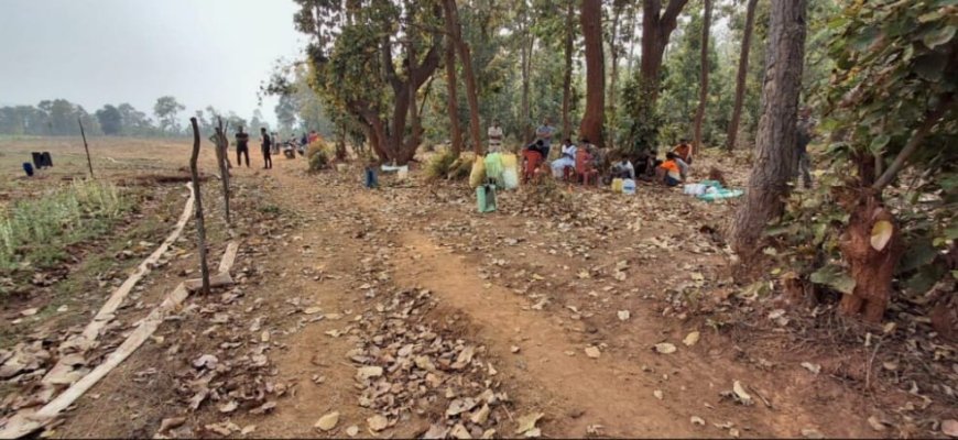 5–6 एकड़ में लहलहा रही थी अफीम की फसल, कुसमी पुलिस कार्रवाई से मचा हड़कम