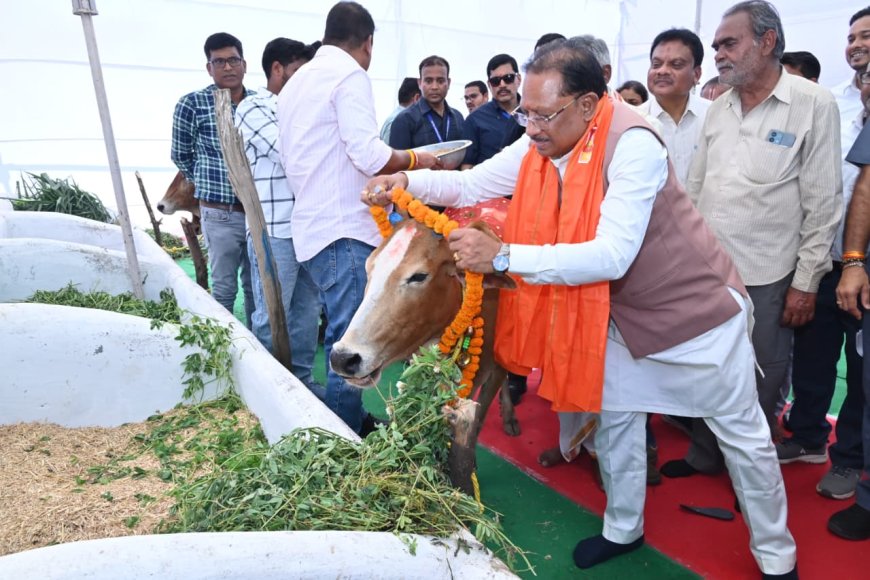 लाखासार से गौधाम योजना की शुरुआत, मुख्यमंत्री विष्णु देव साय ने किया शुभारंभ