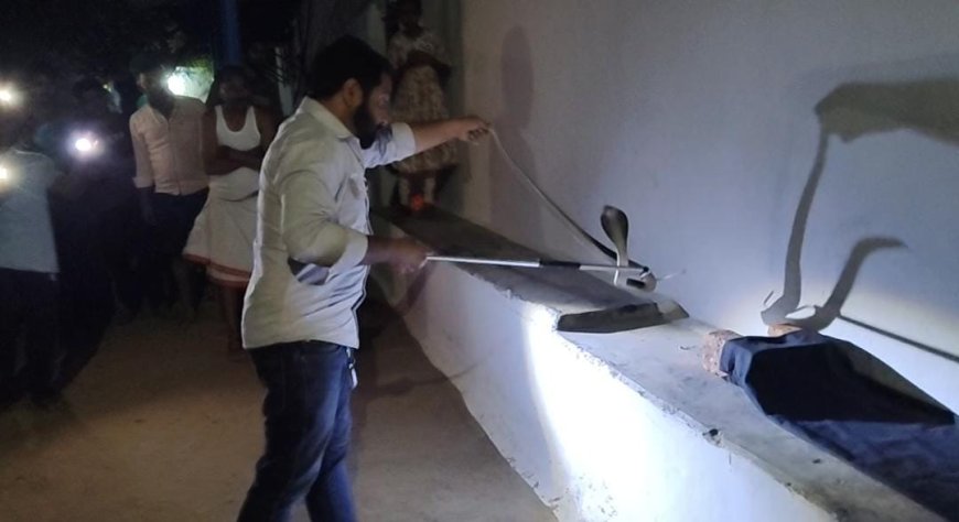 जहरीले नाग के फनकार की आवाज़ सुनकर कुत्ते डर से भौंकने लगे, वही जितेंद्र सारथी को रेस्क्यु करते देख लोग डर से कांप उठे...