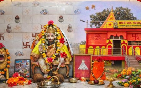 नृसिंह प्रकट्य दिवस पर भव्य शोभायात्रा निकालने की अपील