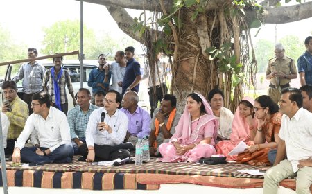 कलेक्टर पहुंचे छतौना ग्रामसभा, जनभागीदारी से विकास पर दिया जोर...अंबेडकर जयंती पर ग्राम पंचायतों में ग्रामसभाओं का आयोजन