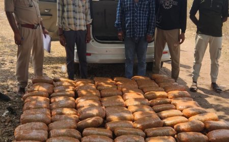 रतनपुर पुलिस व एसीसीयू की बड़ी कार्रवाई: 245 किलो गांजा के साथ आरोपी गिरफ्तार,1.30 करोड़ की जप्ती