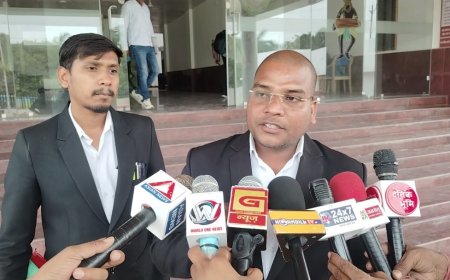 शासकीय जमीन को निजी बताकर सीमांकन आवेदन, विवाद बढ़ा कलेक्टर से कमिश्नर तक पहुंचा मामला