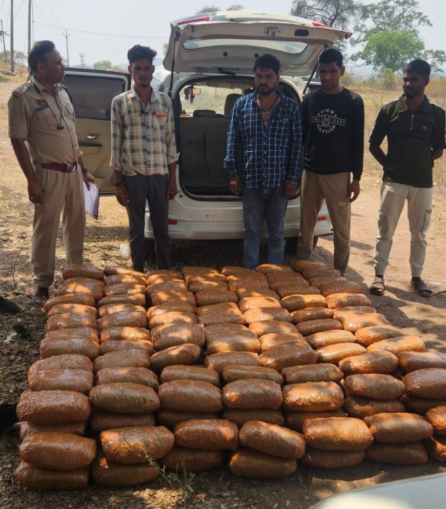 रतनपुर पुलिस व एसीसीयू की बड़ी कार्रवाई: 245 किलो गांजा के साथ आरोपी गिरफ्तार,1.30 करोड़ की जप्ती