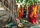 आस्था, परंपरा और अखंड सौभाग्य का पर्व : नोनबिर्रा में श्रद्धा के साथ मनाया गया वट सावित्री व्रत,वट वृक्ष के नीचे गूंजे पूजा के मंत्र, सुहागिन महिलाओं ने परिवार की सुख-समृद्धि के लिए मांगा आशीर्वाद