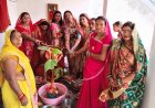 वट सावित्री व्रत पर श्रद्धा और आस्था का भव्य आयोजन...ग्राम बोईदा के बरपारा में महिलाओं ने की वट वृक्ष की पूजा, सुख-समृद्धि की कामना