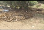 बिलासपुर वार्ड क्र. 58 खमतराई में नाली जाम और तलाबों कि खराब इस्तिथि से वार्ड वासी परेशान