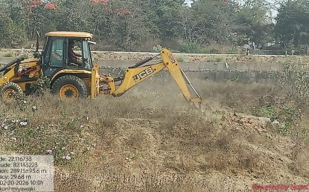 बिलासपुर की लाइफलाइन अरपा के तट पर उगेगा मियावाकी जंगल...कम समय में शहर को मिलेगी सघन हरियाली