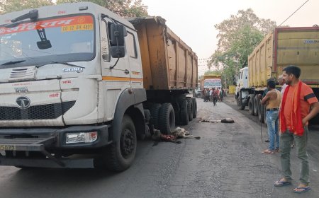 तेज रफ्तार ट्रेलर की चपेट में आने से गाय की मौत, चालक वाहन छोड़कर फरार