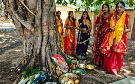 आस्था, परंपरा और अखंड सौभाग्य का पर्व : नोनबिर्रा में श्रद्धा के साथ मनाया गया वट सावित्री व्रत,वट वृक्ष के नीचे गूंजे पूजा के मंत्र, सुहागिन महिलाओं ने परिवार की सुख-समृद्धि के लिए मांगा आशीर्वाद