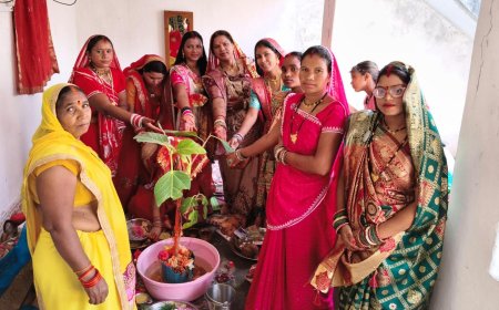 वट सावित्री व्रत पर श्रद्धा और आस्था का भव्य आयोजन...ग्राम बोईदा के बरपारा में महिलाओं ने की वट वृक्ष की पूजा, सुख-समृद्धि की कामना