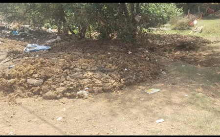 बिलासपुर वार्ड क्र. 58 खमतराई में नाली जाम और तलाबों कि खराब इस्तिथि से वार्ड वासी परेशान