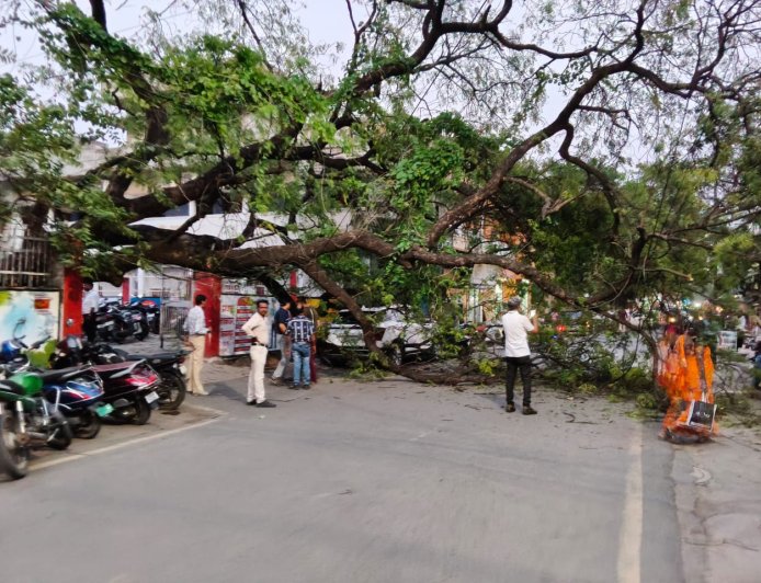 पोस्ट ऑफिस में लगा पेड़ अचानक गिरने से मचा हड़कंप, पेड़ के चपेट में आई कार के उड़े परखच्चे