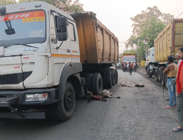 तेज रफ्तार ट्रेलर की चपेट में आने से गाय की मौत, चालक वाहन छोड़कर फरार