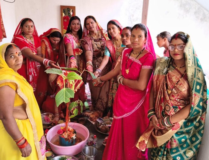 वट सावित्री व्रत पर श्रद्धा और आस्था का भव्य आयोजन...ग्राम बोईदा के बरपारा में महिलाओं ने की वट वृक्ष की पूजा, सुख-समृद्धि की कामना