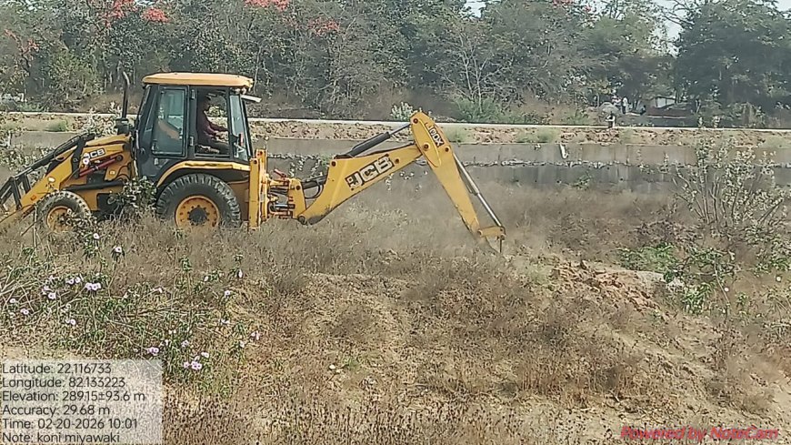 बिलासपुर की लाइफलाइन अरपा के तट पर उगेगा मियावाकी जंगल...कम समय में शहर को मिलेगी सघन हरियाली