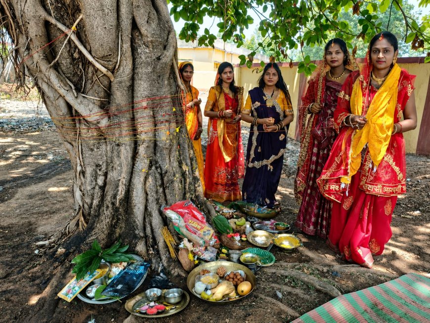 आस्था, परंपरा और अखंड सौभाग्य का पर्व : नोनबिर्रा में श्रद्धा के साथ मनाया गया वट सावित्री व्रत,वट वृक्ष के नीचे गूंजे पूजा के मंत्र, सुहागिन महिलाओं ने परिवार की सुख-समृद्धि के लिए मांगा आशीर्वाद