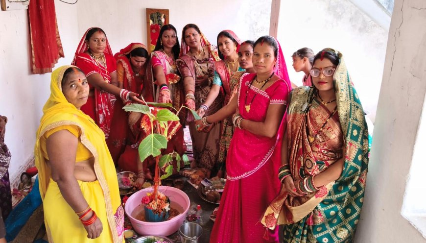 वट सावित्री व्रत पर श्रद्धा और आस्था का भव्य आयोजन...ग्राम बोईदा के बरपारा में महिलाओं ने की वट वृक्ष की पूजा, सुख-समृद्धि की कामना