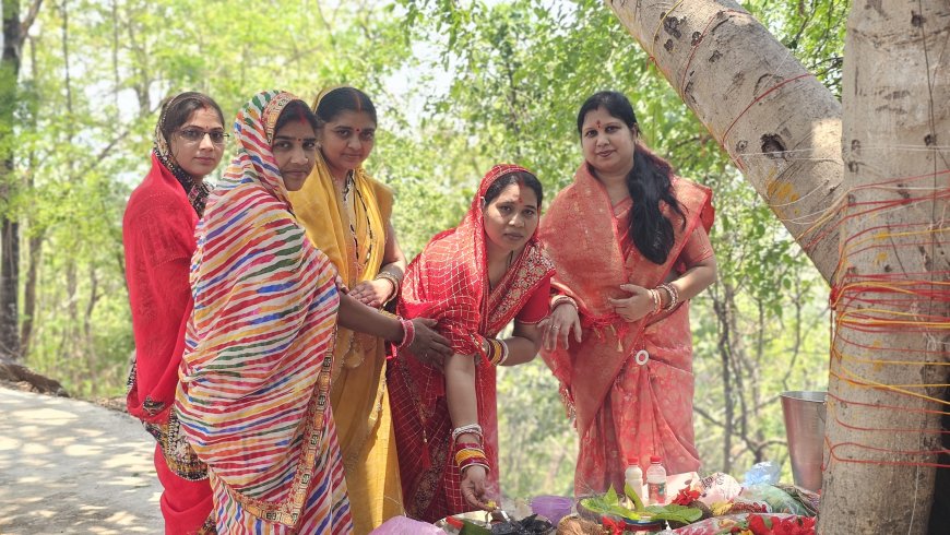 वट सावित्री व्रत पर श्री सिद्ध बाबा अद्वैत परमहंस आश्रम बेलगहना में विशेष पूजा-अर्चना