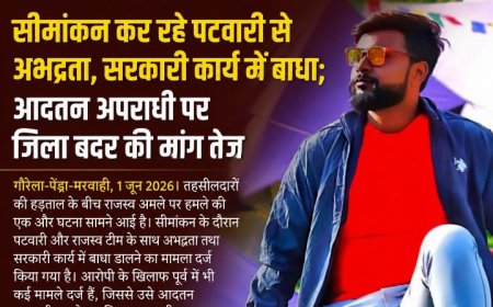 तहसीलदारों की हड़ताल के बीच फिर राजस्व अमले पर हमला! सीमांकन कर रहे पटवारी से अभद्रता, सरकारी कार्य में बाधा; आदतन अपराधी पर जिला बदर की मांग तेज