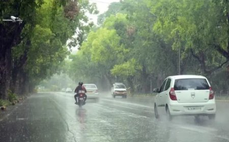 छत्तीसगढ़ में 5 दिन आंधी-बारिश का अलर्ट, रायपुर समेत कई जिलों में 60 किमी रफ्तार से चल सकती हैं हवाएं