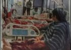 छत्तीसगढ़ में ज़हरीली जंगली मशरूम खाने से फूड पॉइज़निंग;